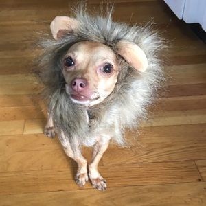 Meet your Posher, April